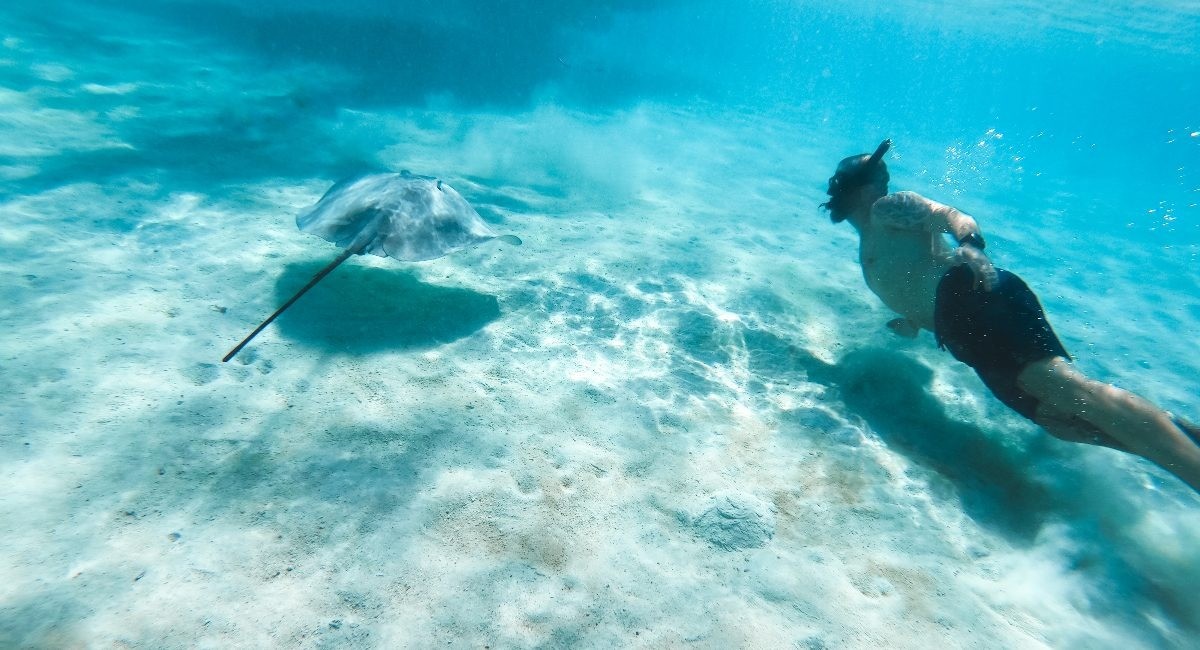Snorkeler swims underwater toward a stingray gliding over the sandy seabed in clear blue water.