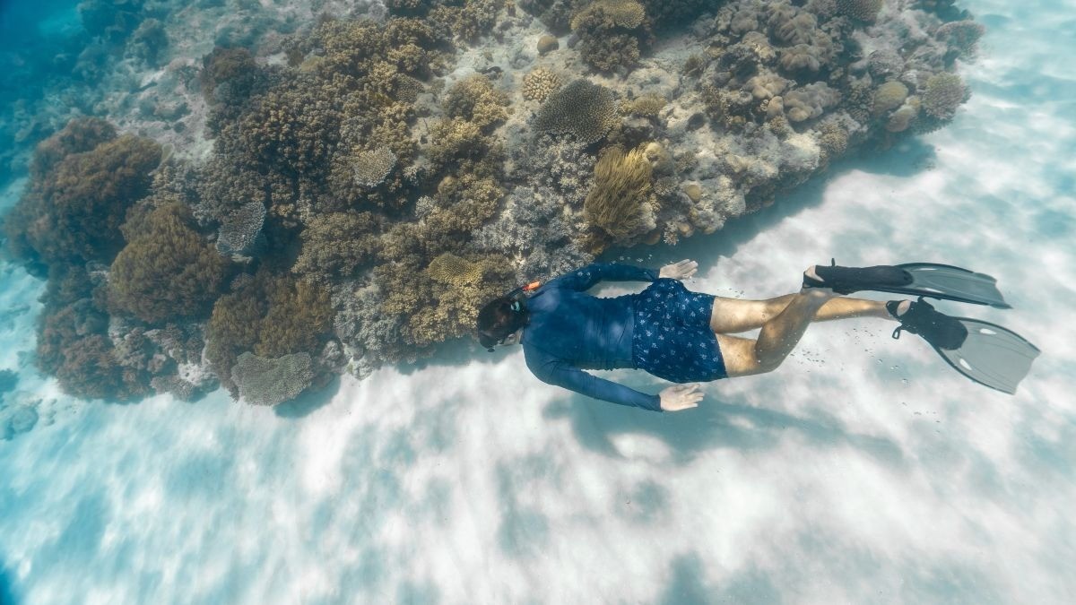 Cemetery Beach reef snorkeling with coral and tropical fish in Grand Cayman