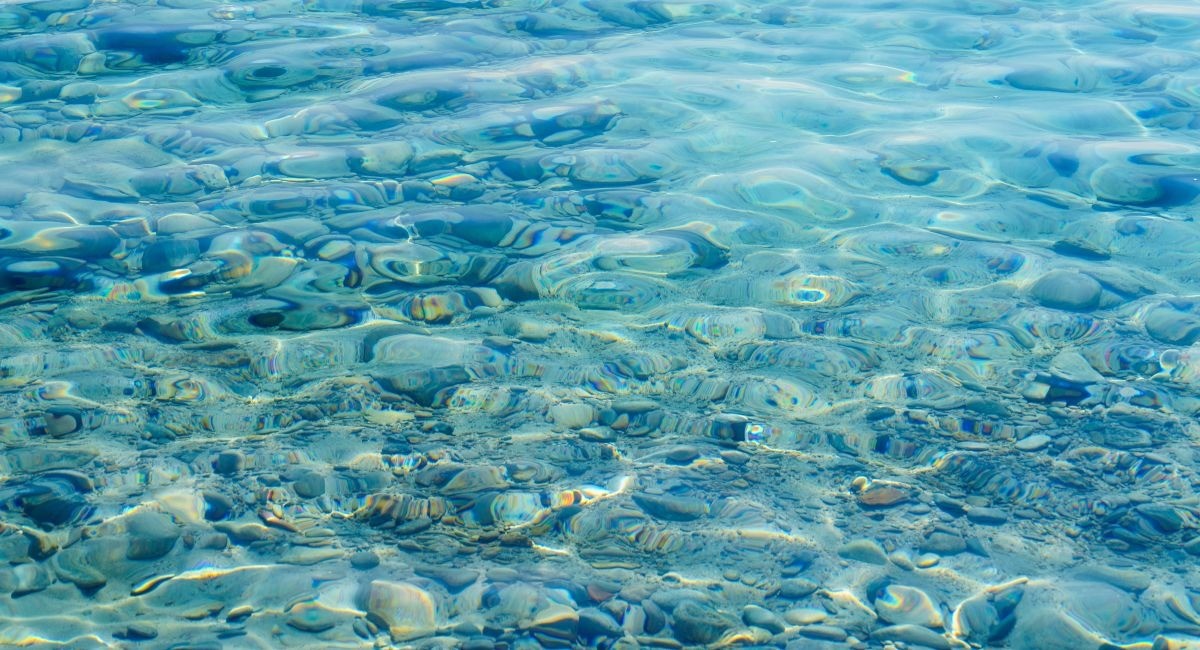 Clear water visibility for snorkeling at Smith Cove Grand Cayman during peak season
