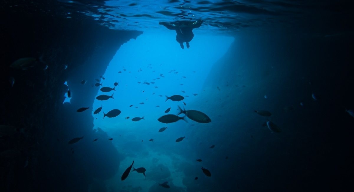 A diver near the surface, surrounded by schools of fish with the silhouette of a rocky cave