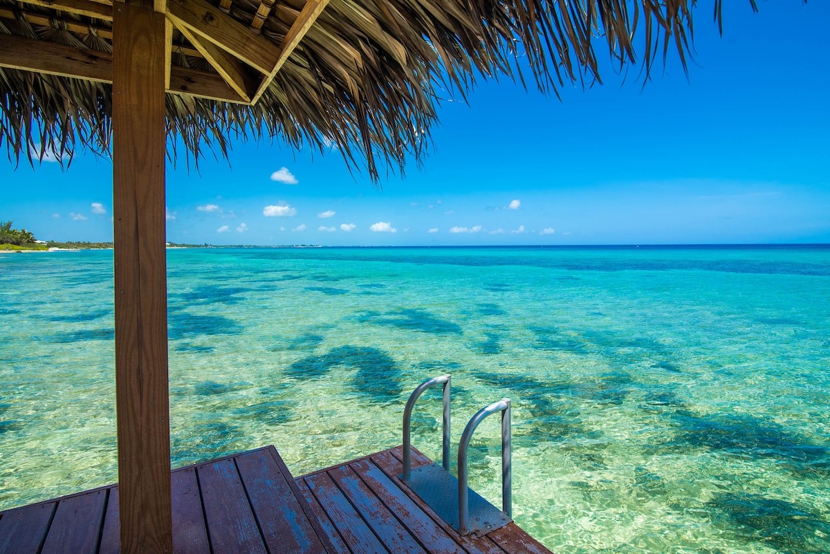 Thatched-roof wooden deck over turquoise, crystal-clear water with a metal ladder descending into the sea.