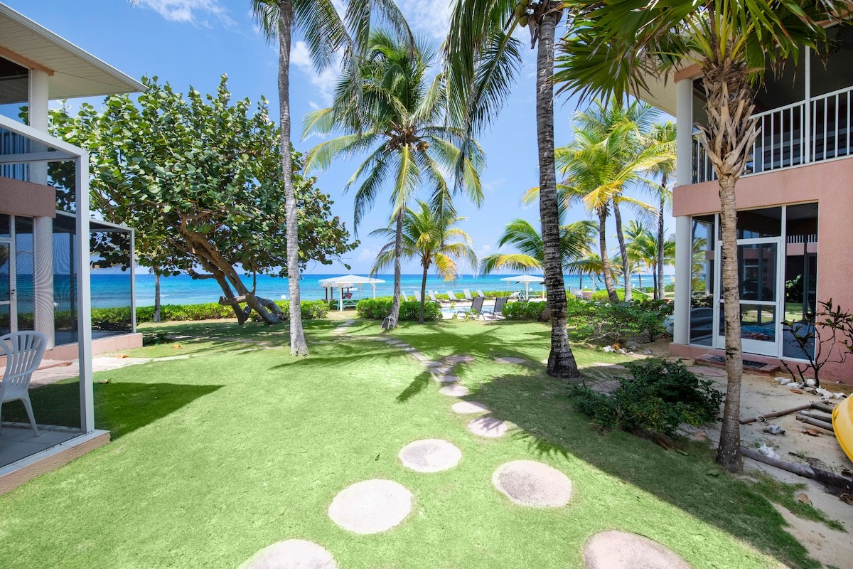 Tropical resort courtyard with palm trees, stepping-stone path, and a view of the beach and lounge chairs.